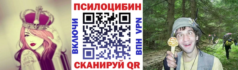 Галлюциногенные грибы Psilocybe  Курган 